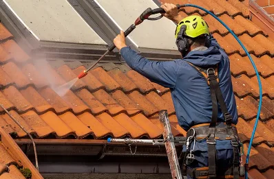 Démoussage et hydrofuge de toiture à Bazus